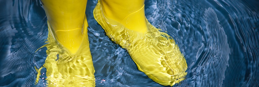 出口產(chǎn)品RoHS檢測?有害物質歐盟ROHS檢測認證辦理費用