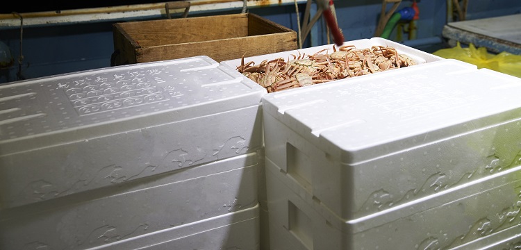 求問毒理未來的前景在何方 ?關于第三檢測行業(yè)，食品檢測、消費品檢測和環(huán)境檢測，業(yè)務的開發(fā)方向有什么差異。 