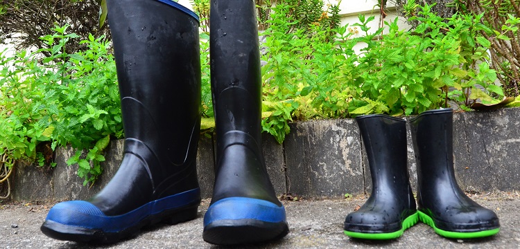 慢應變速率試驗