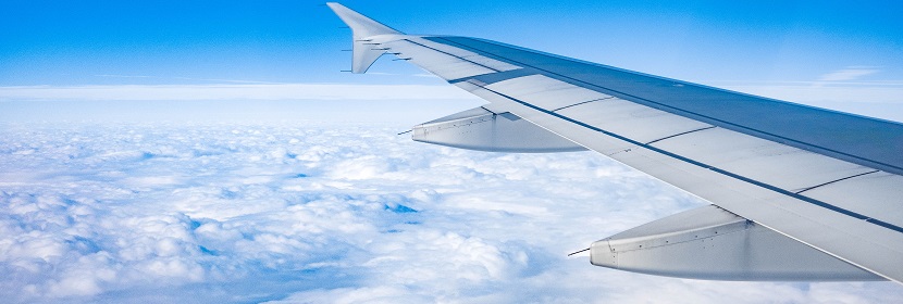 人成纖維細(xì)胞注射誘導(dǎo)恒河猴帕金森模型