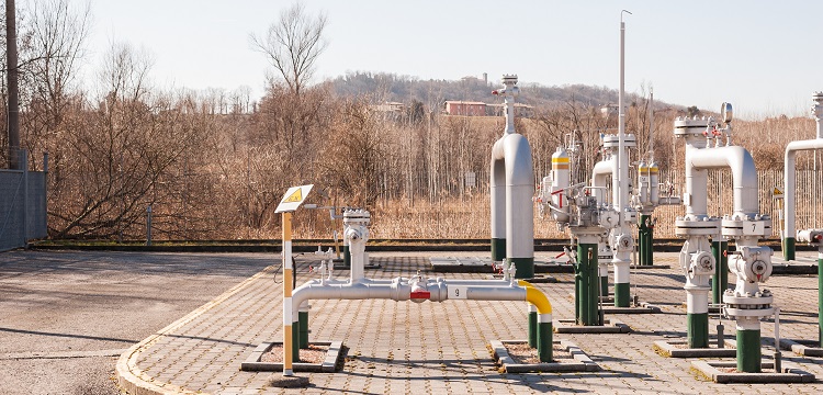 奧利司他檢測(cè)