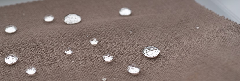 結核菌H37RV尾靜脈感染A/J小鼠模型