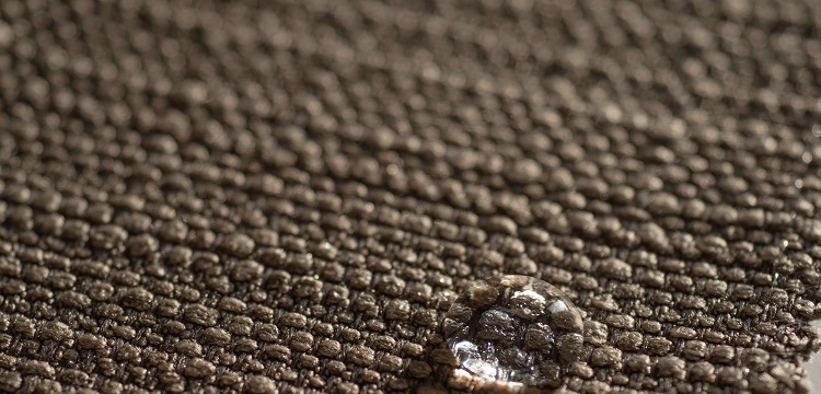 HCL誘導小鼠急性肺損傷模型