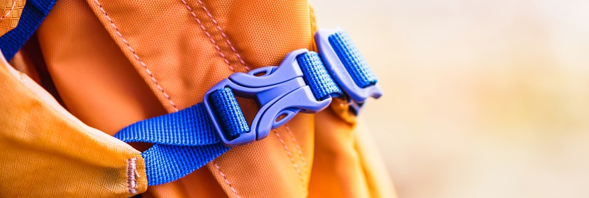 四氧嘧啶誘導的1型糖尿病小鼠