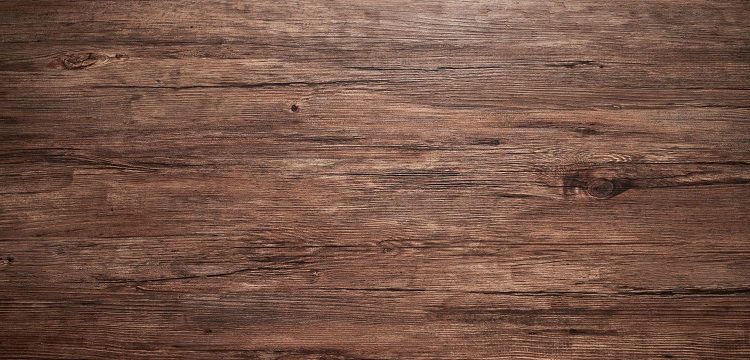 H7N9 滴鼻途徑感染Lewis大鼠模型