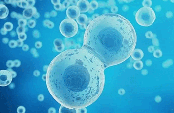 封邊條檢測(cè)