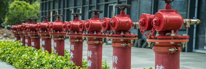 苯甲基硅油檢測