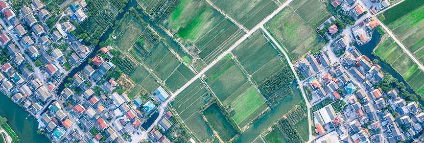 組織胺檢測(cè)