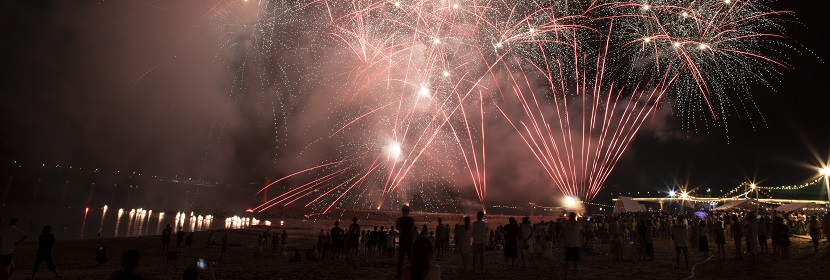 煙花爆竹產(chǎn)品-九大類(lèi)、煙花爆竹藥劑檢測(cè)