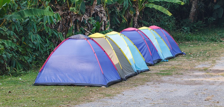 光學和輻射檢測