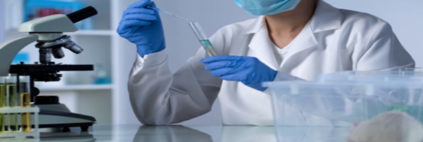 體外哺乳動物細胞微核試驗