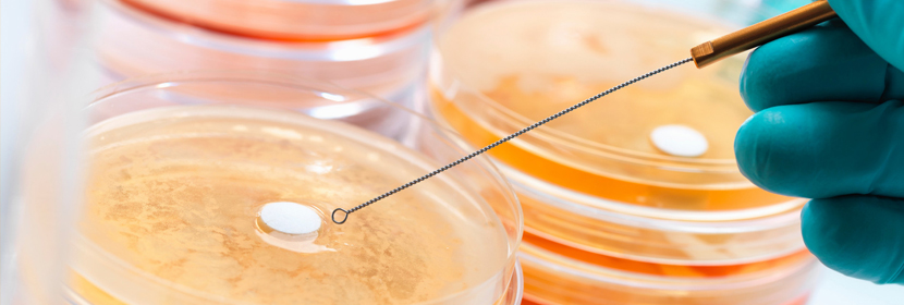 生物負(fù)載測(cè)試