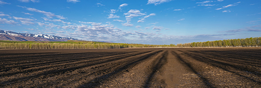 耕地土壤剝離檢測