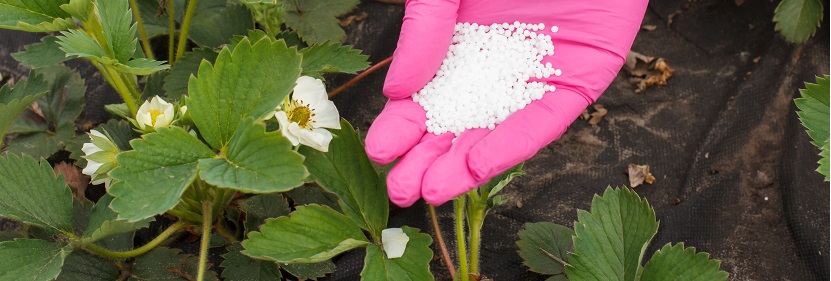 脲醛緩釋氮肥檢測