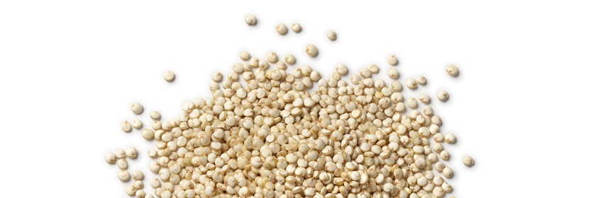 硅酸鹽細(xì)菌肥料檢測