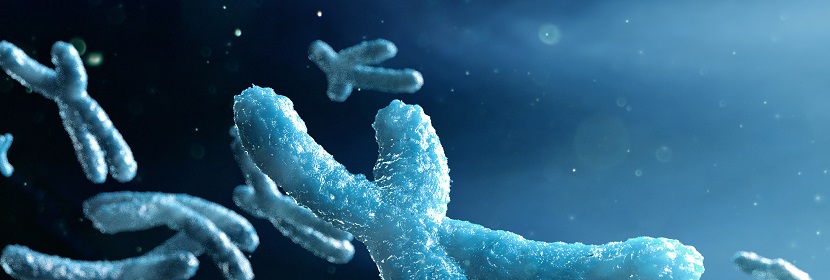 化妝品哺乳動(dòng)物骨髓細(xì)胞染色體畸變試驗(yàn)