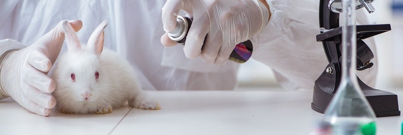 洗滌消殺產(chǎn)品皮膚刺激試驗