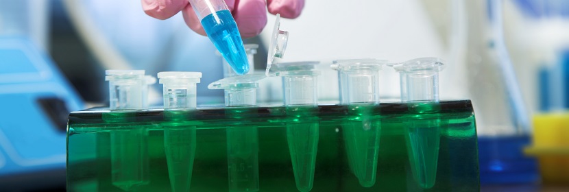 化學品經(jīng)口毒性試驗