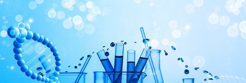 燃油蒸發排放控制炭罐用顆?；钚蕴繖z測