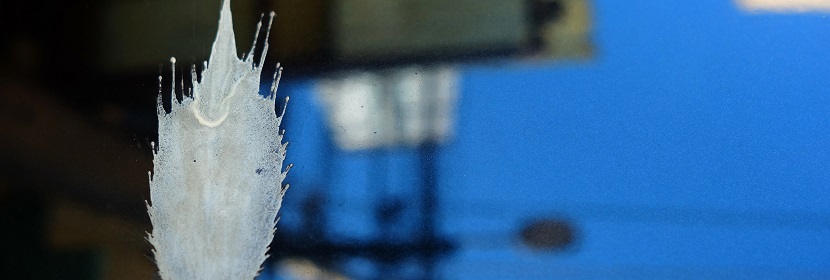 汽車塑料件用水性涂料檢測