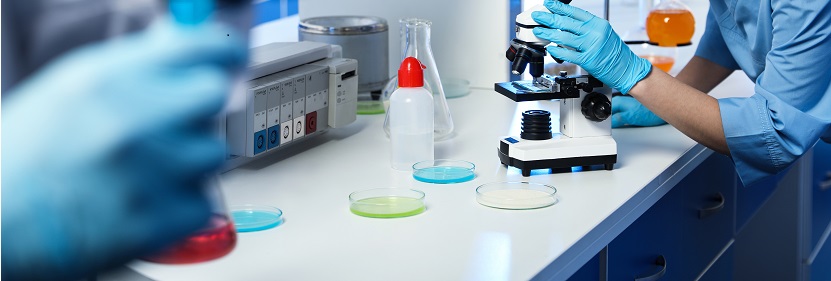 內(nèi)墻涂料檢測