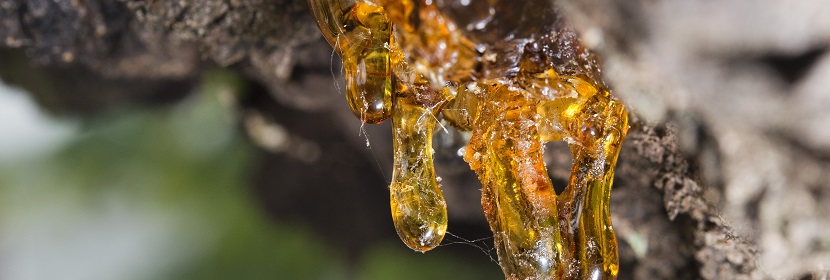 環氧樹脂地面涂料檢測